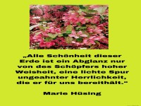 Alle Schnheit dieser Erde