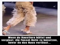 Mode und Haustiere