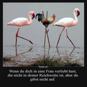 Flamingos-und-Huhn---Beharrlichkeit.jpg von Lydia