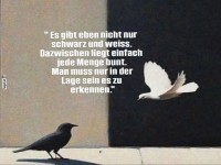 Kontrast zwischen Schwarz und Wei