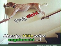 Hilf mir einfach