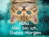 weiter