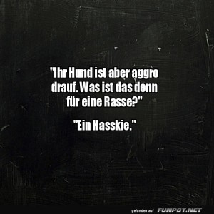 Ein-Hasskie-mit-viel-Humor!.jpg von Annelie-68