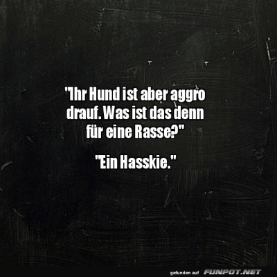 Ein-Hasskie-mit-viel-Humor!.jpg von Annelie-68
