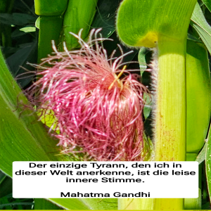 Der-einzige-tyrann.png von Fabioma