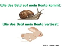 Geld im Schneckentempo, Ausgaben im Hasenstil