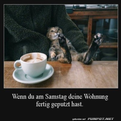 Putzpause-oder-Katzen-Chill?.jpg von Schwesterchen