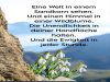 weiter