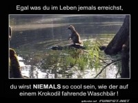 Waschb�r startet das Krokodil-Abenteuer