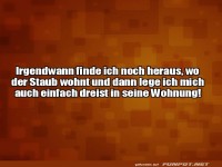 Staubdetektiv im Einsatz!