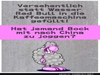 Koffein-Schaf auf Weltreise!
