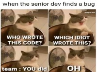 Wenn der Bug-Detektiv sich selbst entdeckt!