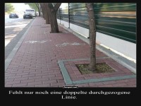Baum vs. Fahrradweg: Wer darf hier parken?