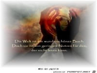 die welt ist ein 