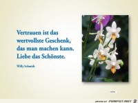 Vertrauen ist das wertvollste Geschenk