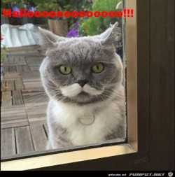 Hallooooooooooooooooo.jpg auf www.funpot.net