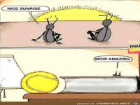 schner Sonnenaufgang - verppelt