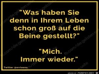 diegeilsten auf die Beine gestellt