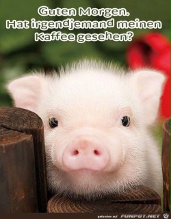 Guten-Morgen.jpg auf www.funpot.net