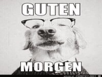Guten Morgen