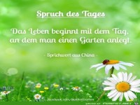 Spruch des Tages...