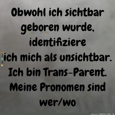 Trans-Parent.jpg von Bonobo666