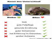 Kenne den Unterschied