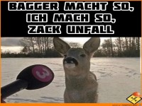 Jetzt wei�t du es