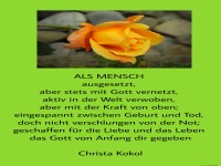 Als Mensch ausgesetzt