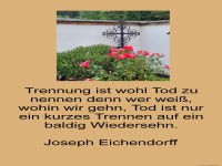 trennung ist wohl tod zu nennen