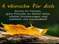 Vier Wnsche und ein Blatt im Rampenlicht