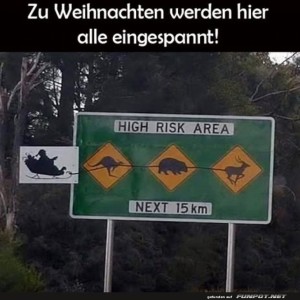 Weihnachtsmann-auf-Wildtier-Safari!.jpg von Jannik-22