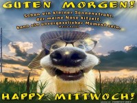 Ein wedelnder Start in den Mittwoch!