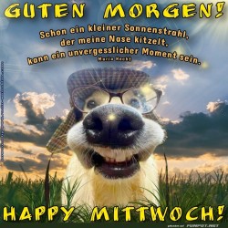 Ein-wedelnder-Start-in-den-Mittwoch!.jpg auf www.funpot.net