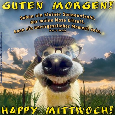 Mittwoch.jpg von Justin