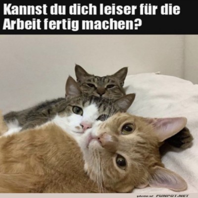 Kannst-du-dich-leiser-fertigmachen?.jpg von Queen92