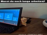 Musst du noch lange arbeiten?