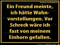 diegeilsten Wahnvorstellungen