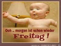 ...morgen ist schon wieder Freitag!