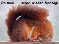 Montag