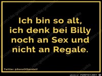 diegeilsten Billy