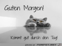 Guten Morgen