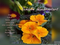 Schoenen Wochenstart