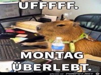 Montag geschafft