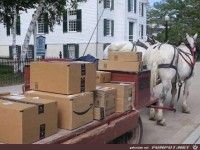 Auch eine M�glichkeit der Auslieferung