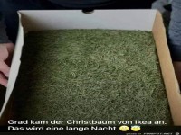 Weihnachtsbaum basteln