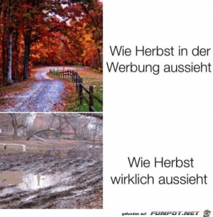 Der-Herbst.jpg auf www.funpot.net