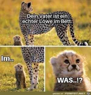 Dieser-Blick.jpg auf www.funpot.net