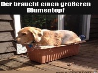 Topf ist zu klein