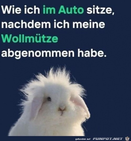Mütze-abgenommen.jpg auf www.funpot.net